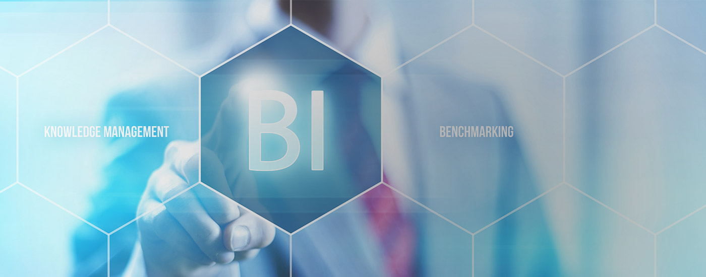 Business Intelligence (BI)